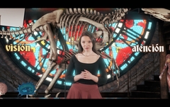 Composición-Animación 3D